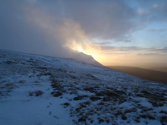 Showimage.ashx Showimage.ashx