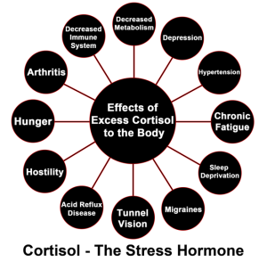limu cortisol